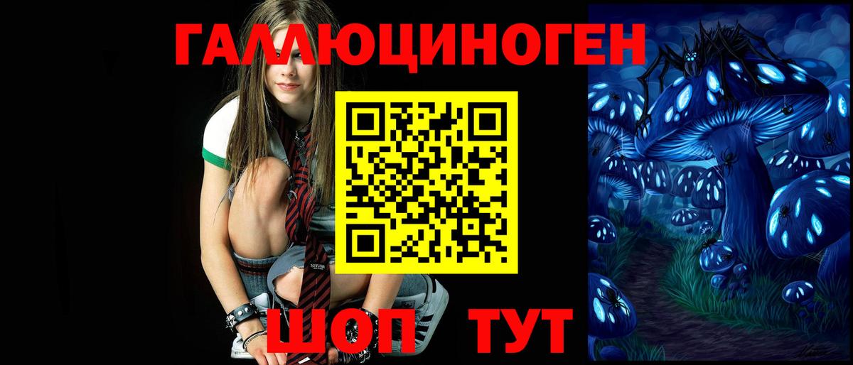 Строитель  что такое   Вход с VPN  Псилоцибиновые грибы GOLDEN TEACHER 