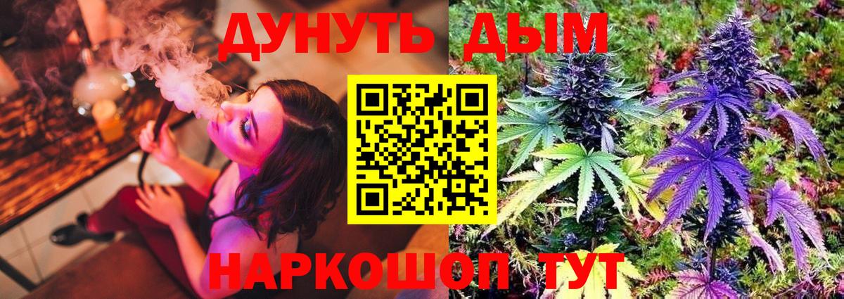 Конопля White Widow  Бошки марихуана планчик  Конопля планчик  Вход с VPN  Строитель 